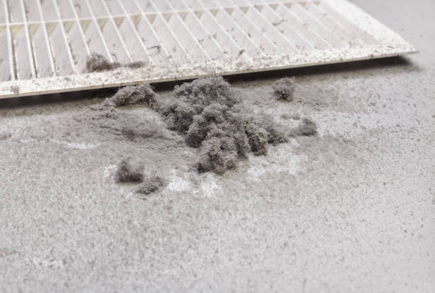 Best Home Air Vent Cleaning  in Hemet, CA